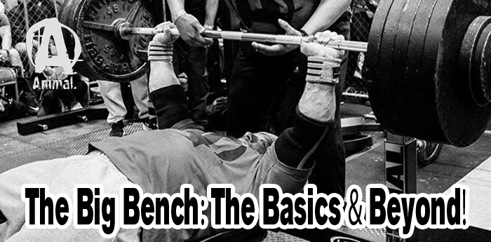 The Big Bench
