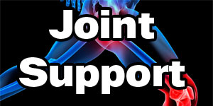 Joint Support Supplements