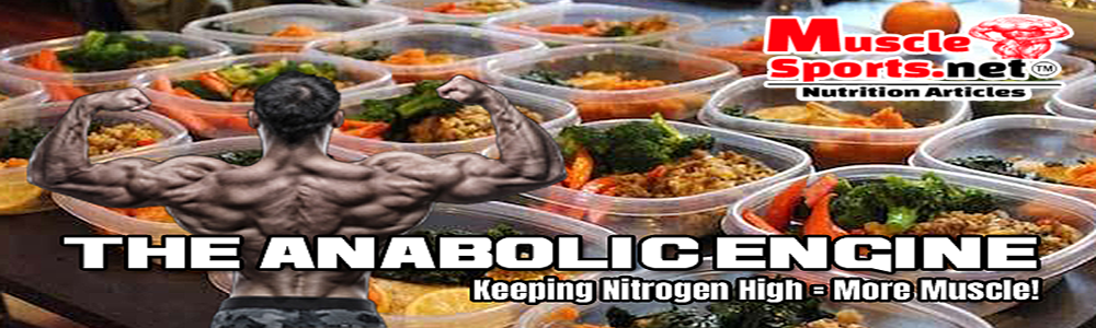 The Anabolic Engine: Mastering Nitrogen Balance for Permanent Muscle Growth!