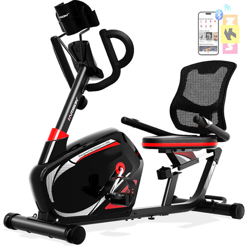 HARISON Recumbent Exercise Bike