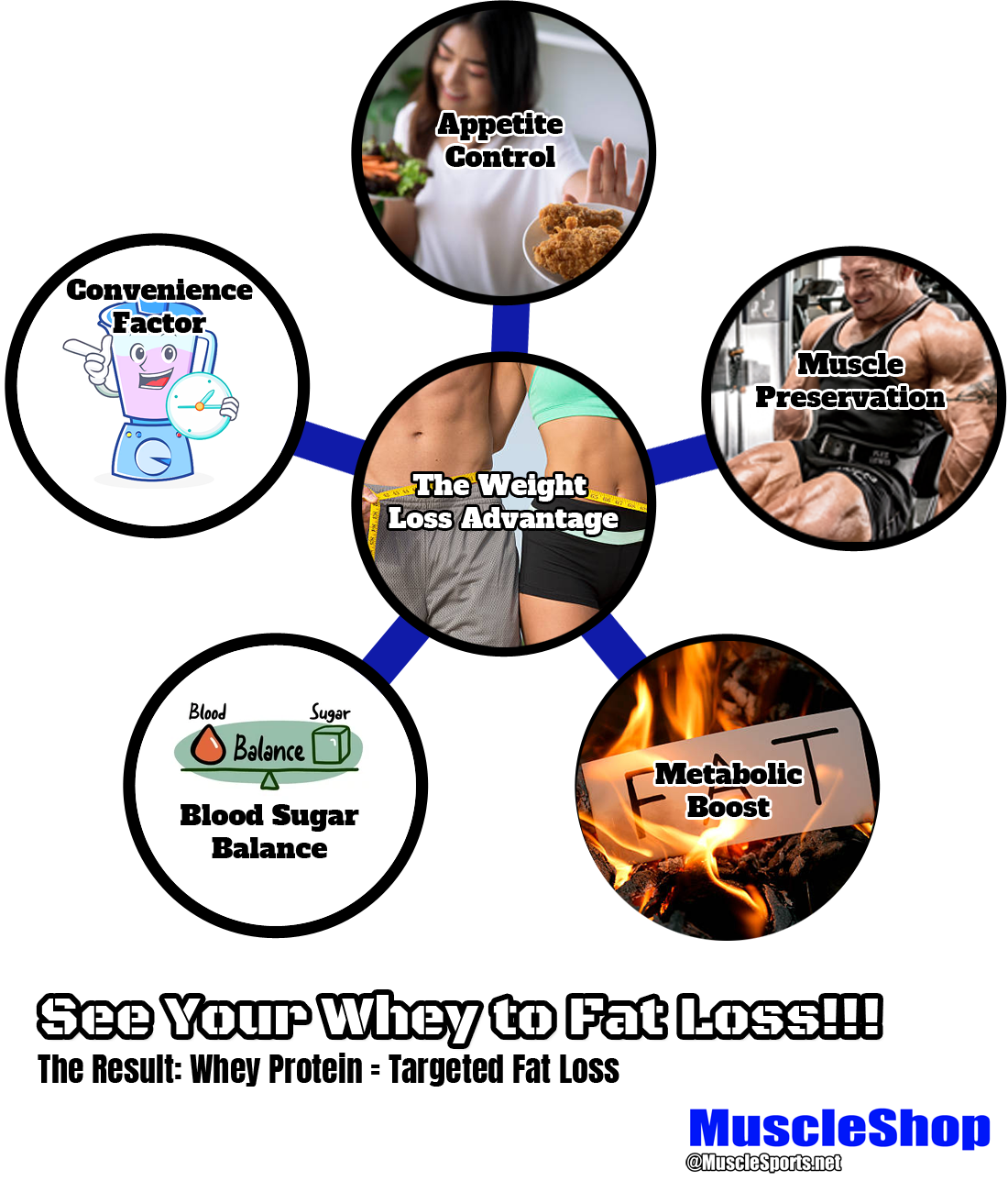 See Your Whey to Fat Loss! The Result: Whey Protein = Targeted Fat Loss