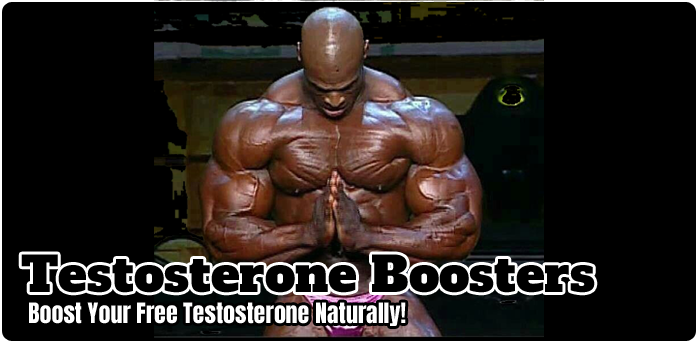 Best Testosterone Boosters Products