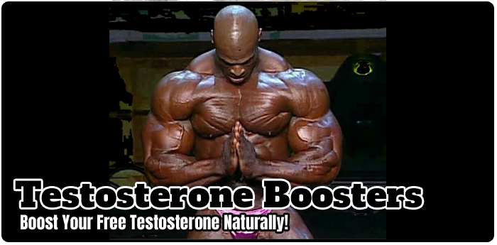 Best Testosterone Boosters
