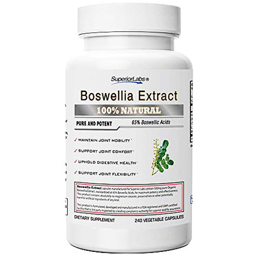 Superior Labs Boswellia Extract