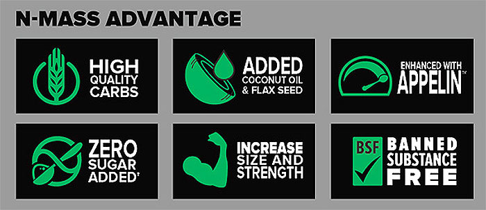 ANS Performance N-Mass Weight Gainer