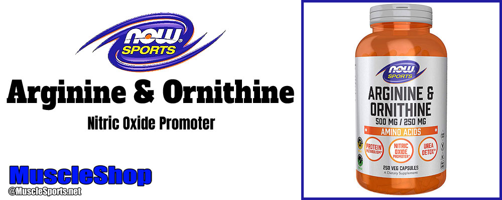 Now Sports Arginine & Ornithine Header