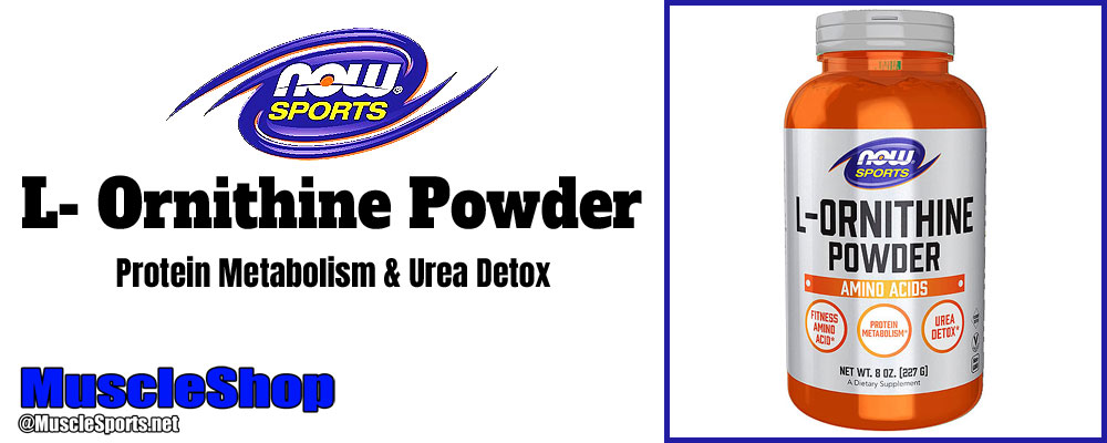 Now Sports L- Ornithine Powder Header